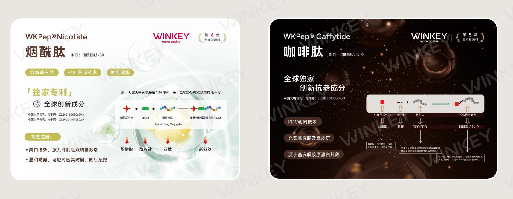 企业微信截图_17782952513234.png