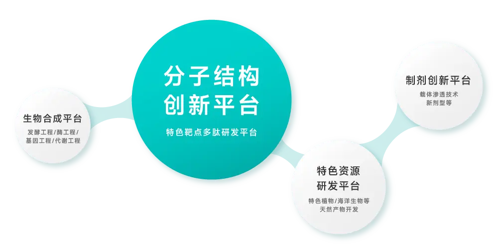 平台图片 - 副本.webp