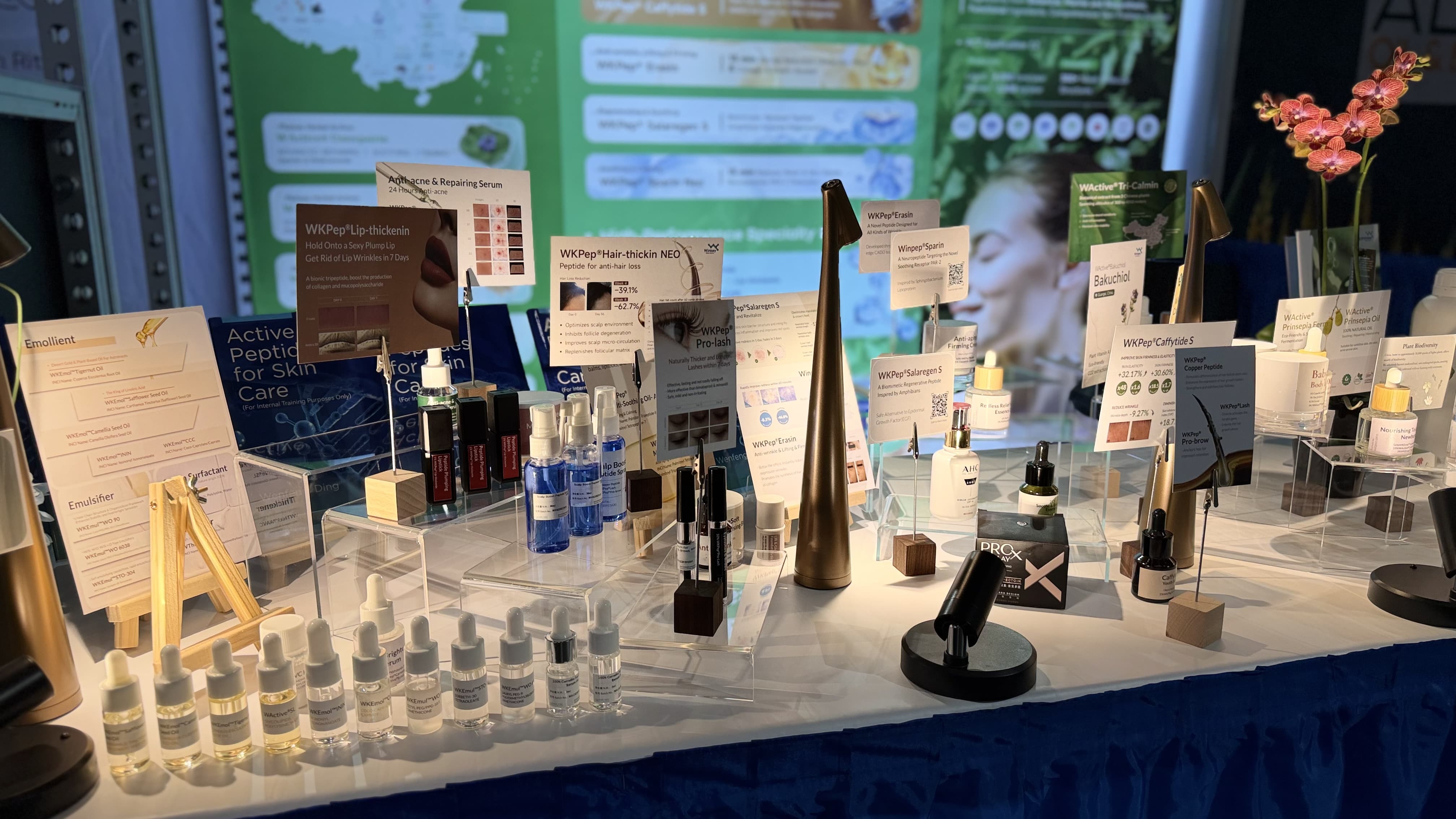 CASCC美展图片 (2) - 副本.jpg CASCC美展图片 (2) - 副本.jpg